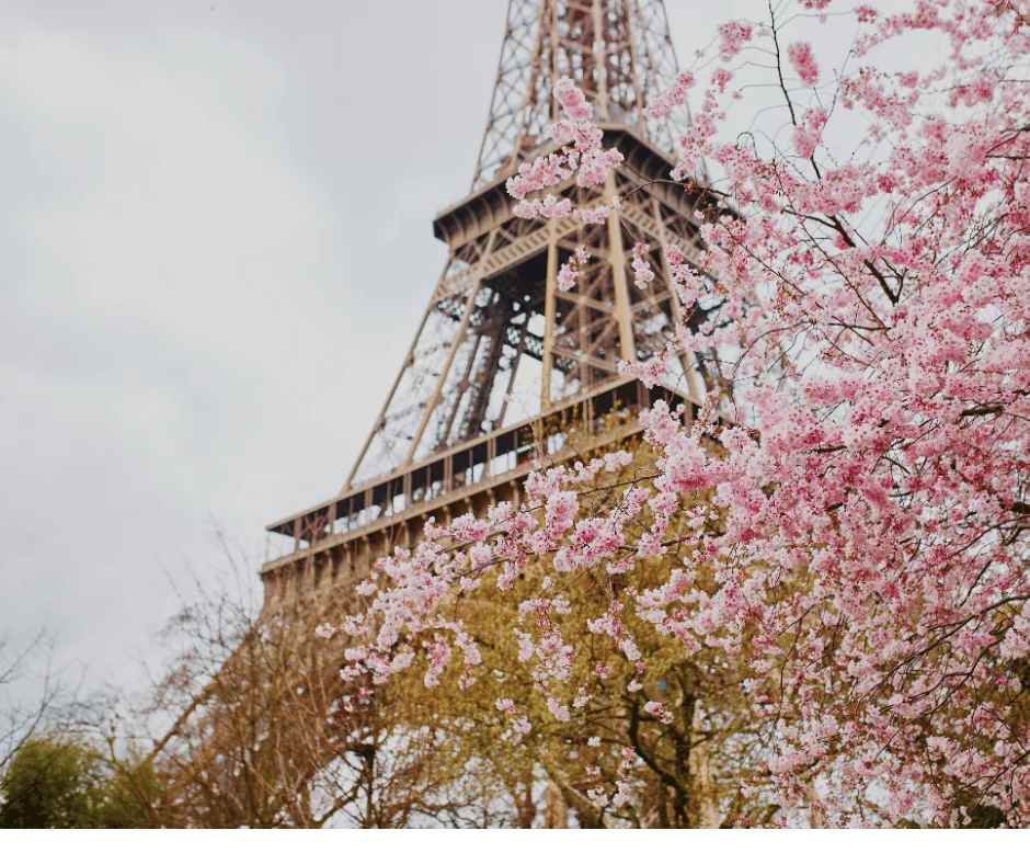 10 proverbe de primăvară în limba franceză