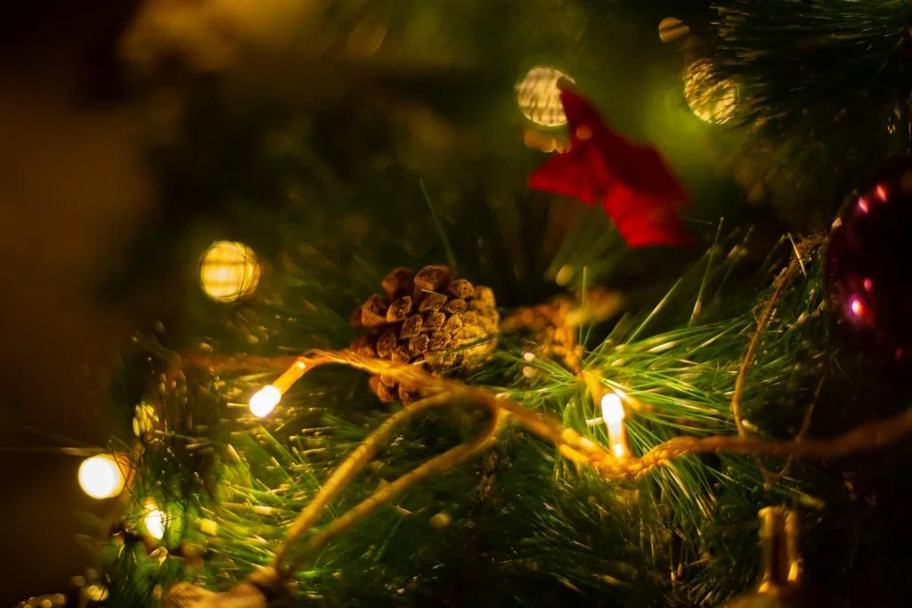 a close up of a christmas tree with lights