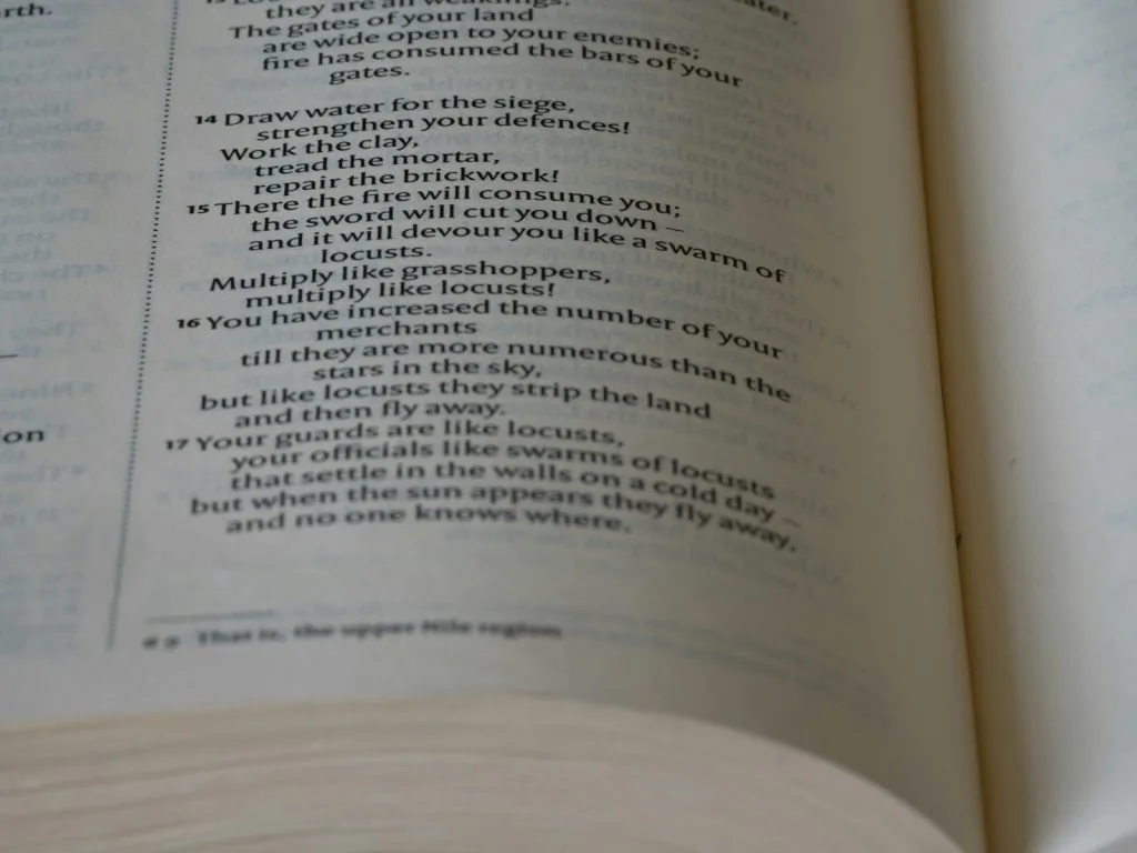 a close up of a book with an open page